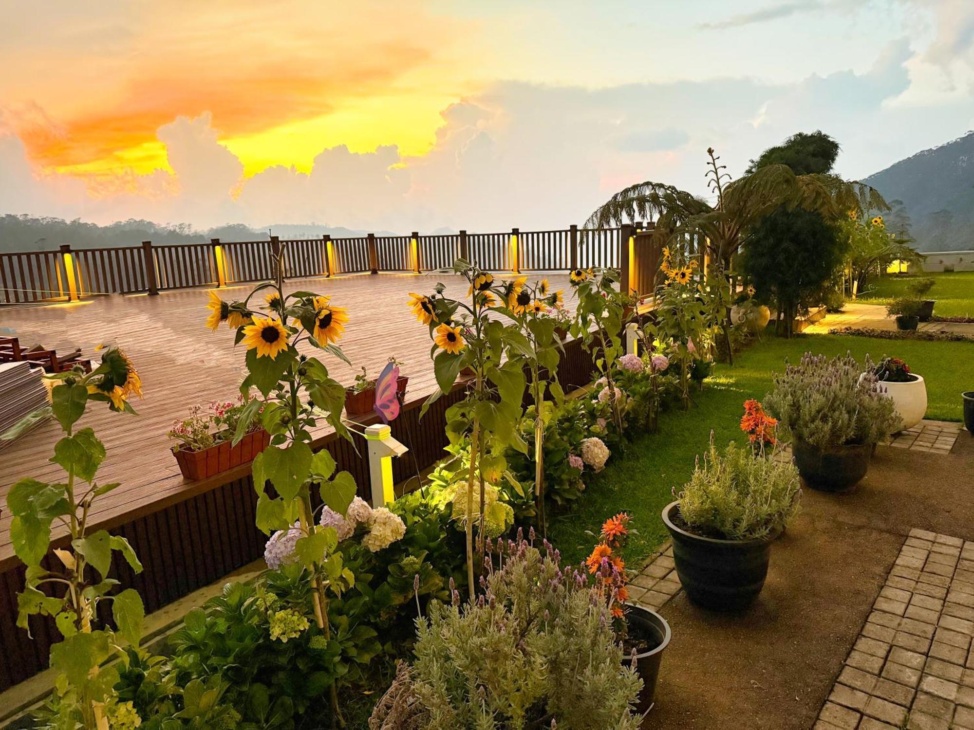 Hilldale Retreat Villa นูวาราเอลิยา ภายนอก รูปภาพ